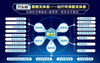 探索深圳植發(fā)補(bǔ)發(fā)技術(shù) 高清圖片揭示效果，北京科發(fā)源的投資管理視角